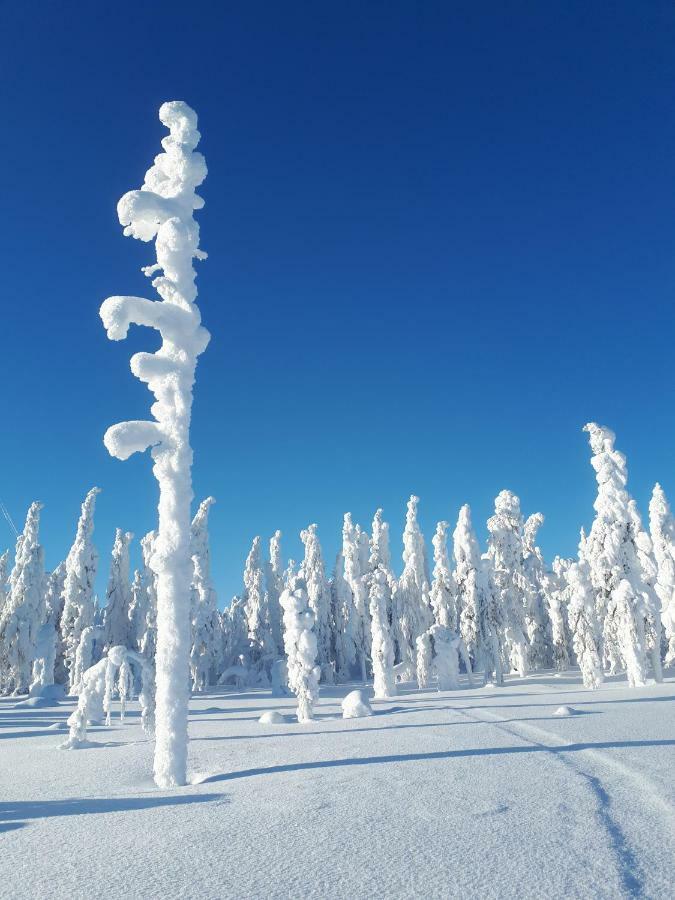 Valkea Arctic Lodge ペッロ エクステリア 写真